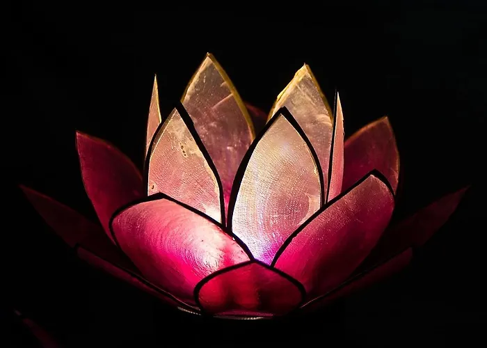 Апартаменти Pink Lotus Відень